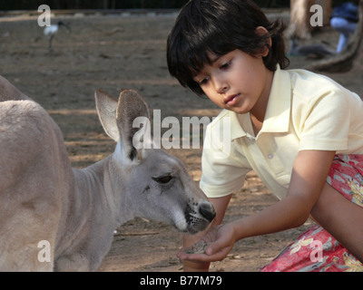 Australien, Currumbin Sanctuary, junge und Känguru Stockfoto