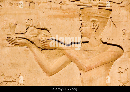 Relief im Horus-Tempel, Edfu, Ägypten, Afrika Stockfoto