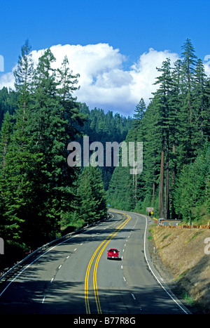 Auto auf Redwood Highway 101 in Humboldt Redwoods State Park, Kalifornien Stockfoto