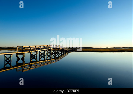 Die Promenade erstreckt sich über das Salz Teich und Sumpf zum Strand, Promenade, Strand, Sandwich Cape Cod Stockfoto