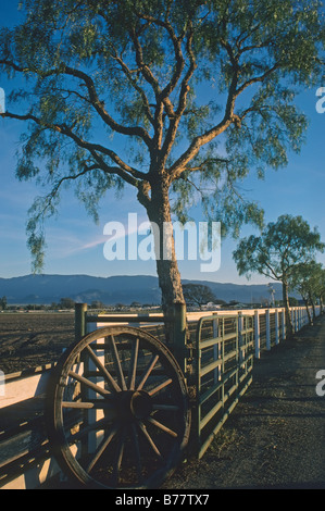 Horse Ranch Tor im Santa Ynez Valley in Kalifornien Stockfoto