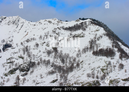 Schneebedeckte Berge mit Laubbäumen. Aran-Tal. Provinz Lleida. Pyrenäen. Spanien Stockfoto