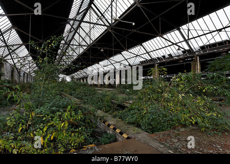 Halle des ehemaligen Güterbahnhofs Duisburg, bewachsen mit Büschen, Ruhr und Umgebung, Nordrhein-Westfalen, Deutschland, Europa Stockfoto