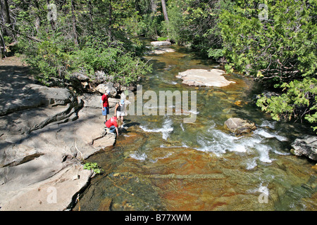 Menschen in großen Bäumen Creek in Calaveras große Bäume State Park in Kalifornien Stockfoto