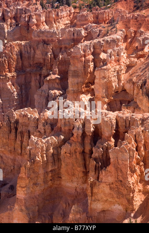 Hoodoos in der Nähe von Rainbow Point in Bryce-Canyon-Nationalpark in Utah Stockfoto