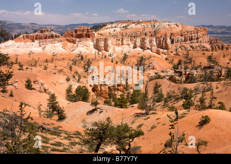 Aussicht vom Rainbow Point in Bryce-Canyon-Nationalpark in Utah Stockfoto