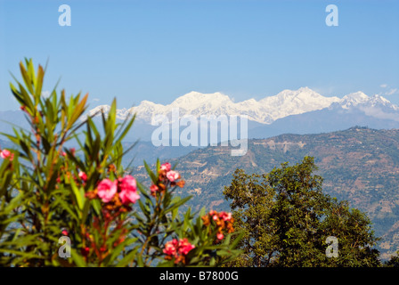 Gipfel des Kangchendzönga-Gebirges, Sikkim, gesehen von der Terrasse an Glenburn Teeplantage, Darjeeling, Indien. Stockfoto