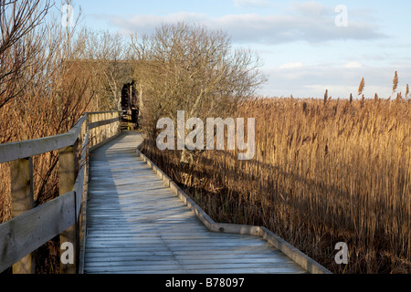 RSPB-Holzsteg zum Strathbeg Nature Wetland Reserve Großbritanniens größtes dünenloch, Aussichtsterraine, Crimond, Fraserburgh, Schottland, VEREINIGTES KÖNIGREICH Stockfoto