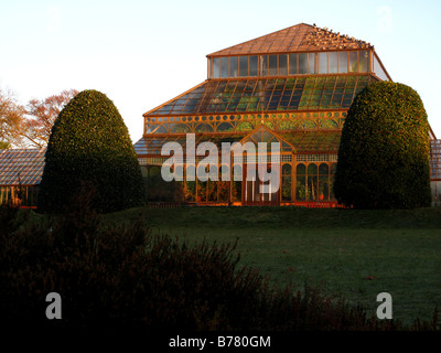 Treibhaus Main Range Glasgow Botanischer Garten Stockfoto