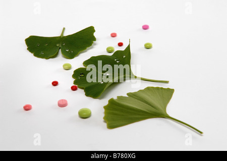 Gingko, Heilpflanze und Pillen, Nahaufnahme Stockfoto