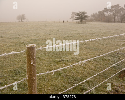 Frostiger Nebel Umgebung in Oxfordshire, England Stockfoto