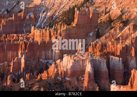 Hoodoos im Bryce Amphitheater bei Sonnenaufgang vom Sunset Point entlang der Rim Trail in Bryce Canyon National Park in Utah Stockfoto