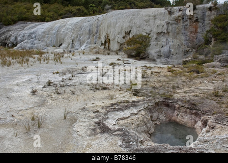 Goldenen Vlies Terrasse an Orakei Korako, The Hidden Valley, in der Nähe von Taupo, Neuseeland Stockfoto