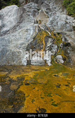 Erdwärme Funktion bei Oarakei Korako, The Hidden Valley, in der Nähe von Taupo, Neuseeland Stockfoto