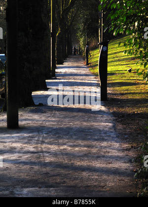 Frostigen Wanderweg mit Bäume und Schatten Stockfoto