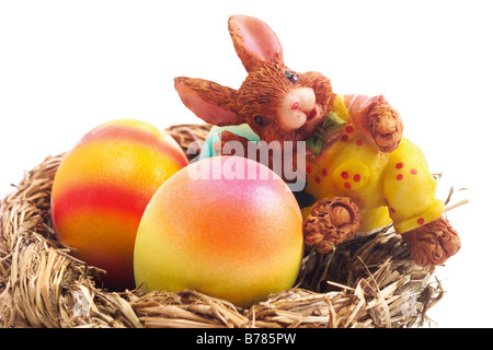 Osterhase im Nest mit Eiern Stockfoto