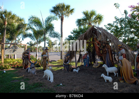 Krippe in Florida Stockfoto