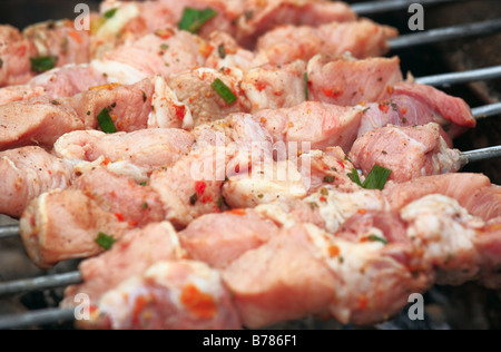 Schaschlik auf dem Rostbräter Stockfoto
