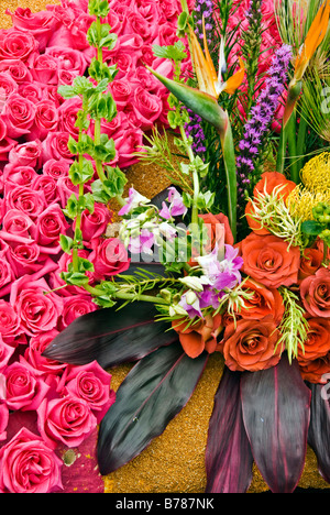 Das Protea frischen tropischen Blumen, dunkel Orange Rosa Rose Rosen ecuadorianischen Kupfer Mais Valentinstag Vogel der Paridise Blumen gemischt Stockfoto