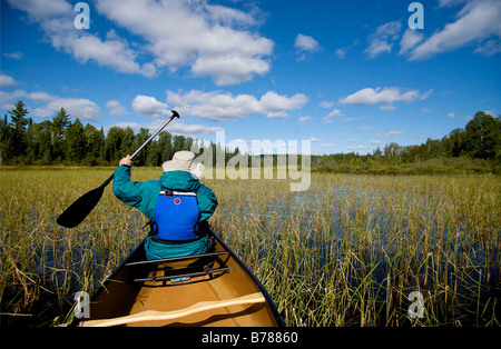 Kanu fahren, eine neue Fischerei vor Ort in der Grenze Gewässer Kanu-Bereich Wildnis im Superior National Forest in Minnesota. Stockfoto