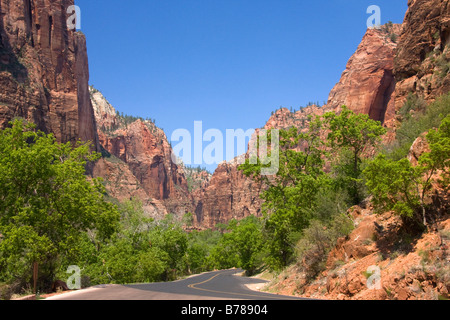 Zion Canyon Scenic Drive windet sich Zion Canyon in Zion National Park in Utah Stockfoto