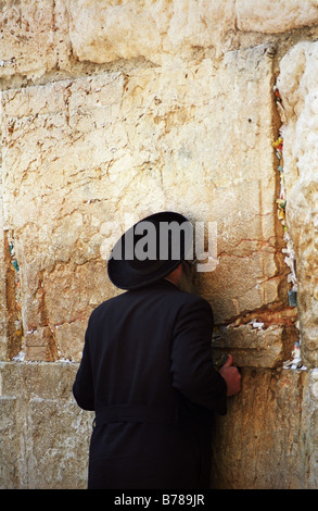 Ein jüdischer religiöser Mann küsst die Klagemauer (Westmauer). Die heiligste Stätte in der jüdischen Religion. Stockfoto