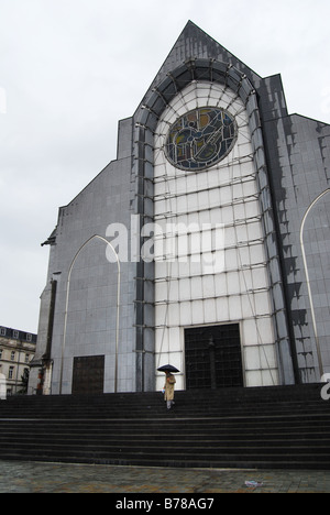 La Basilique Notre Dame De La Treille in Lille Frankreich Stockfoto