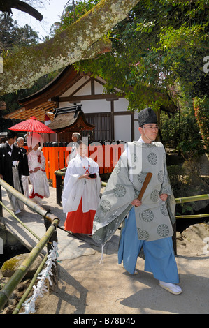 Brautpaar auf ihrem Weg zu einer Shinto Zeremonie mit einer Miko shrine Maiden und ein Shinto-Priester am Kamigamo Schrein, Kyoto, Stockfoto