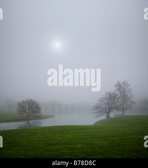 Die Sonne brennt durch einen nebligen Morgen am Teich, südwestlichen Ohio, USA Stockfoto