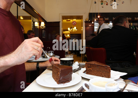 Sachertorte im Café Diglas, Wien, Österreich, Europa Stockfoto
