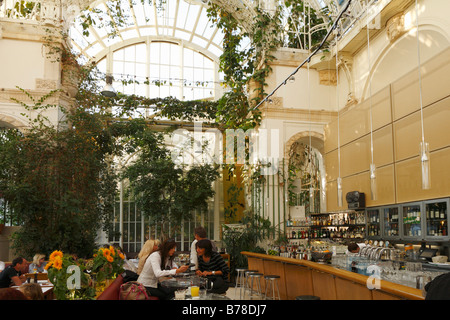 Café Palmenhaus im Burggarten, Wien, Österreich, Europa Stockfoto