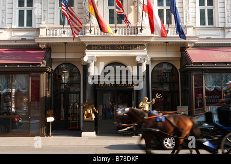 Hotel Sacher, Wien, Österreich, Europa Stockfoto