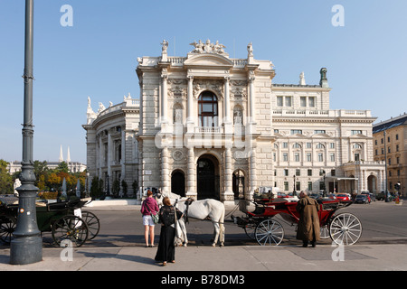 Kutsche vor dem Burgtheater, Wien, Österreich, Europa Stockfoto