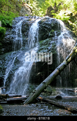 Wasserfall in Moran State Park Orcas Insel San Juan Inseln Washington Stockfoto