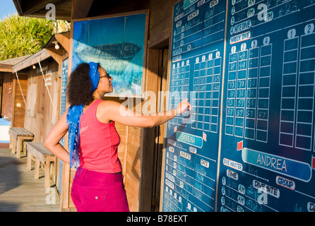 Taucher, die Anmeldung zu den nächsten Tauchkurs, Tauchen Schule, Hotel Anthony Key Resort, Roatan, Honduras, Mittelamerika Stockfoto