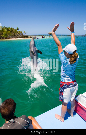 Training einen Delphin ein Biologie-Unterricht mit einem Delphintrainer in Anthony's Key Resort, Roatan, Honduras, Centra Schulmädchen Stockfoto