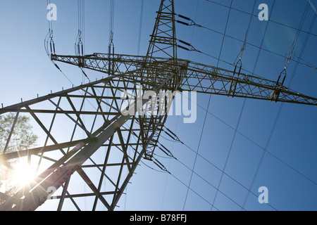 Strommast Entladung Strom aus dem Dampfanlage der Firma Eon, Großkrotzenburg, Hessen, Deutschland, Europa Stockfoto