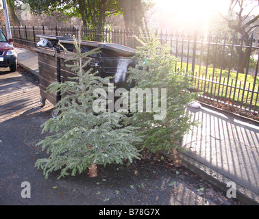 Ausrangierten Weihnachtsbaum am Straßenrand bin Stockfoto