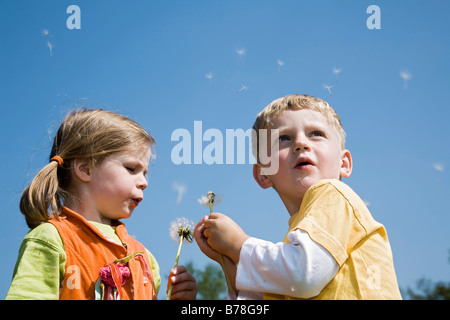 Junge, 3 Jahre, und Mädchen, 4 Jahre, bläst Blowballs Löwenzahnsamen (Taraxacum Officinale), der Schweiz, Europa Stockfoto