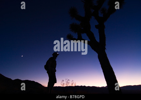 Eine Silhouette eines Mannes stehend durch einen Joshua Baum bei Sonnenuntergang in der Nähe von Lone Pine in Kalifornien Stockfoto