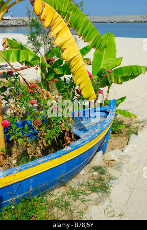 Bananenstauden wachsen eine Überfischung Boot am Strand, Tropea, Vibo Valentia, Kalabrien, Tyrrhenischen Meer, Süditalien, Italien, Euro Stockfoto