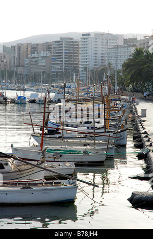 Weiße Angelboote/Fischerboote und Segeln Boote im Hafen vor dem Passeig Maritim, Port de Palma, Palma De Mallorca, Mallorca, Balearen ich Stockfoto