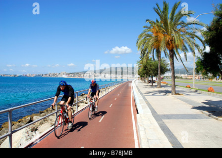 Fahrradweg mit Palmen und Blick aufs Meer entlang der Autopista de Levante, Palma De Mallorca, Mallorca, Balearen, Medit Stockfoto