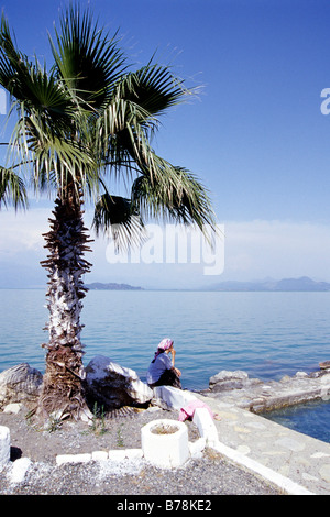 Palme am See Koeycegiz, Thermalbad mit heißem Quellwasser in Sultaniye, Dalyan im Provinz Mugla, Türkei Stockfoto