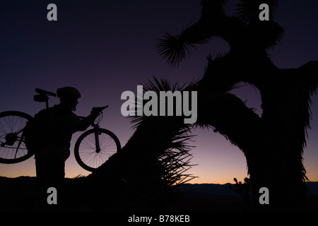 Eine Silhouette eines Bikers durch einen Joshua Baum bei Sonnenuntergang in der Nähe von Lone Pine in Kalifornien Stockfoto