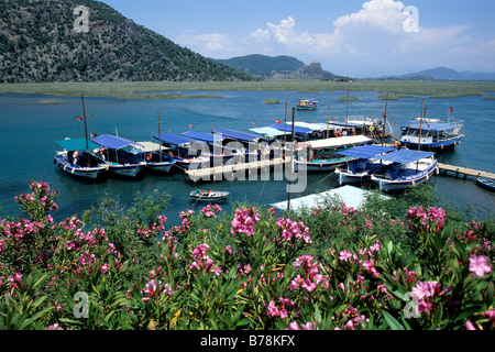 Boote am Fluss, Oleander in der Natur zu reservieren, Iztuzu Strand, Turtle Beach, Daylan, Provinz Mugla, Mittelmeer, Türkei Stockfoto