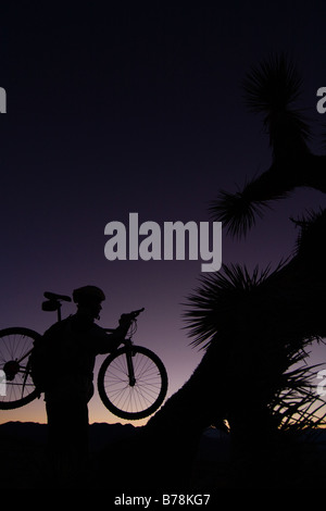 Eine Silhouette eines Bikers durch einen Joshua Baum bei Sonnenuntergang in der Nähe von Lone Pine in Kalifornien Stockfoto