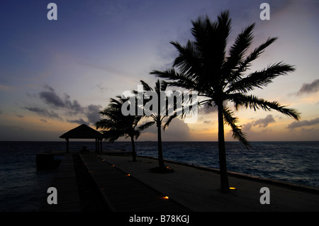 Steg mit Palmen in der Dämmerung, Gegenlicht, Laguna Resort, Malediven, Indischer Ozean Stockfoto