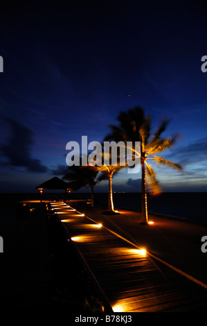 Steg mit Palmen in der Abenddämmerung, Laguna Resort, Malediven, Indischer Ozean Stockfoto