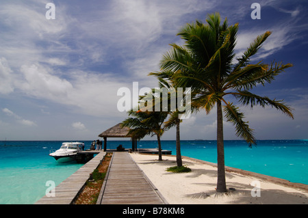 Palm Allee Anlegestelle, Laguna Resort, Malediven, Indischer Ozean Stockfoto